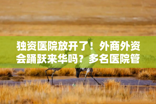 独资医院放开了！外商外资会踊跃来华吗？多名医院管理人士这样说