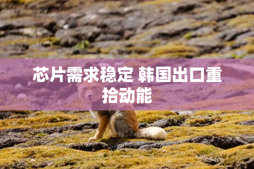 芯片需求稳定 韩国出口重拾动能