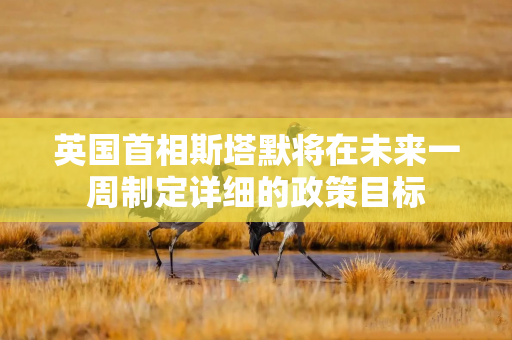 英国首相斯塔默将在未来一周制定详细的政策目标