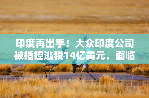 印度再出手！大众印度公司被指控逃税14亿美元，面临重罚