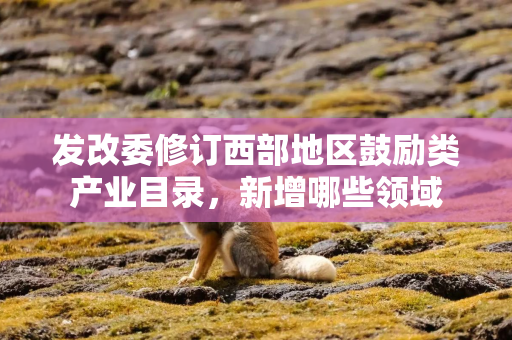 发改委修订西部地区鼓励类产业目录，新增哪些领域