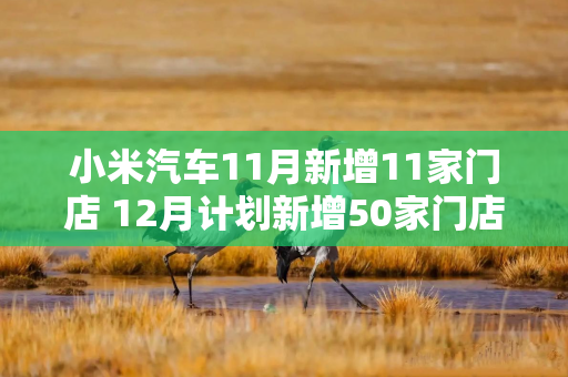 小米汽车11月新增11家门店 12月计划新增50家门店