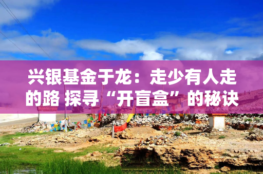 兴银基金于龙：走少有人走的路 探寻“开盲盒”的秘诀