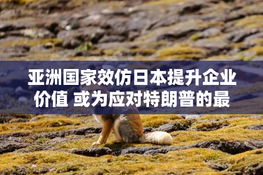 亚洲国家效仿日本提升企业价值 或为应对特朗普的最佳防御策略