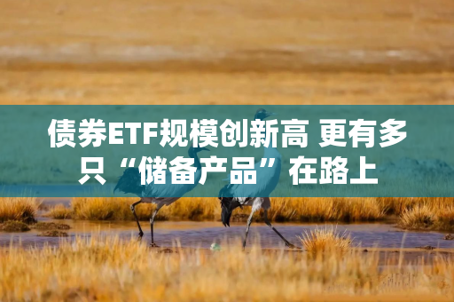 债券ETF规模创新高 更有多只“储备产品”在路上