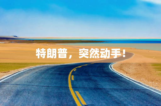 特朗普，突然动手！
