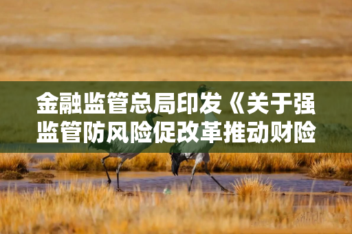 金融监管总局印发《关于强监管防风险促改革推动财险业高质量发展行动方案》