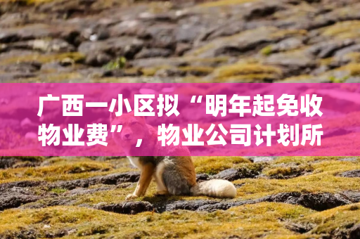 广西一小区拟“明年起免收物业费”，物业公司计划所有项目都推行！专家表示系“低价竞争白热化表现之一”