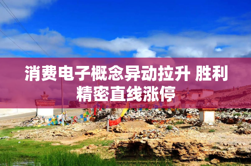 消费电子概念异动拉升 胜利精密直线涨停