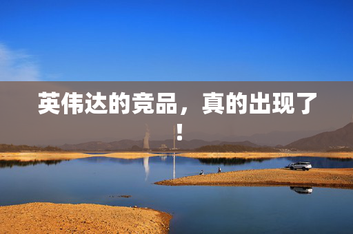 英伟达的竞品，真的出现了！