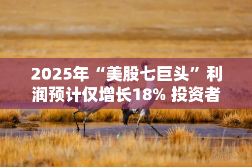 2025年“美股七巨头”利润预计仅增长18% 投资者开始寻找新目标