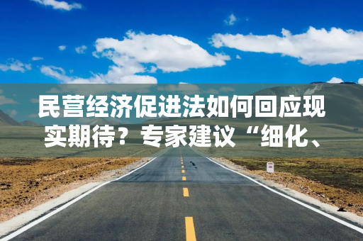 民营经济促进法如何回应现实期待？专家建议“细化、衔接、权威”