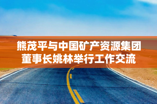 熊茂平与中国矿产资源集团董事长姚林举行工作交流