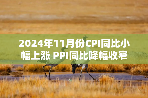 2024年11月份CPI同比小幅上涨 PPI同比降幅收窄