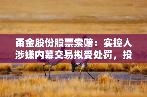 甬金股份股票索赔：实控人涉嫌内幕交易拟受处罚，投资者索赔须知