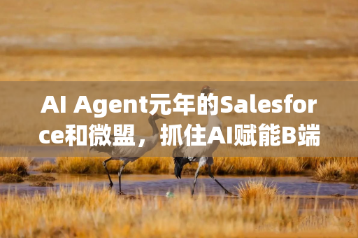 AI Agent元年的Salesforce和微盟，抓住AI赋能B端市场增长的关键趋势
