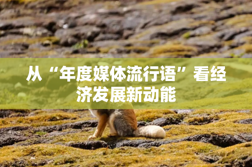 从“年度媒体流行语”看经济发展新动能