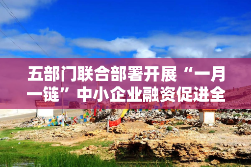 五部门联合部署开展“一月一链”中小企业融资促进全国行活动