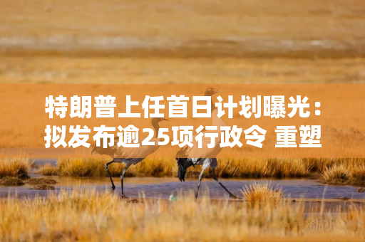 特朗普上任首日计划曝光：拟发布逾25项行政令 重塑美国政策