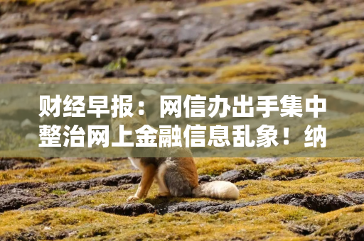 财经早报：网信办出手集中整治网上金融信息乱象！纳指首破2万点，降息概率超95%