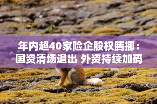 年内超40家险企股权腾挪：国资清场退出 外资持续加码
