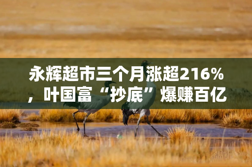 永辉超市三个月涨超216%，叶国富“抄底”爆赚百亿浮盈