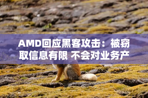 AMD回应黑客攻击：被窃取信息有限 不会对业务产生重大影响