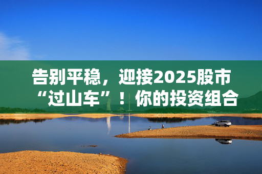 告别平稳，迎接2025股市“过山车”！你的投资组合准备好了吗？