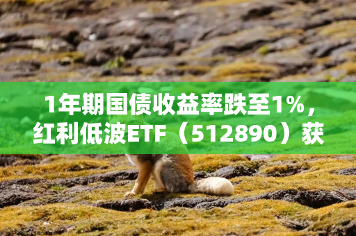 1年期国债收益率跌至1%，红利低波ETF（512890）获净申购3.6亿，资金净流入位居股票ETF第三、红利类ETF第一
