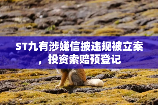 ST九有涉嫌信披违规被立案，投资索赔预登记