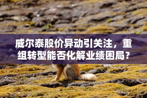 威尔泰股价异动引关注，重组转型能否化解业绩困局？