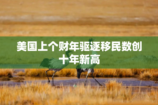 美国上个财年驱逐移民数创十年新高