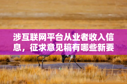 涉互联网平台从业者收入信息，征求意见稿有哪些新要求？最新解读
