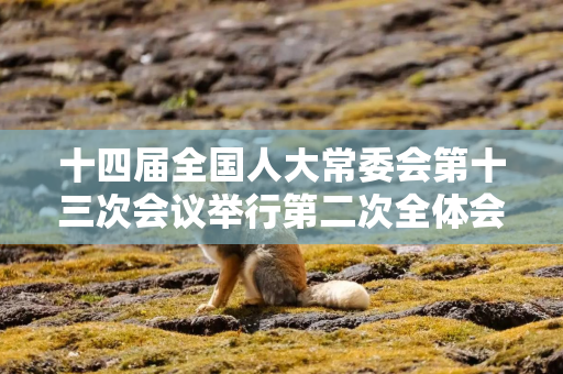 十四届全国人大常委会第十三次会议举行第二次全体会议 审议执法检查报告、专项工作报告等 赵乐际出席会议