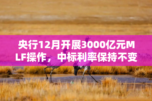 央行12月开展3000亿元MLF操作，中标利率保持不变