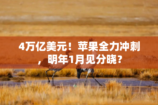 4万亿美元！苹果全力冲刺，明年1月见分晓？