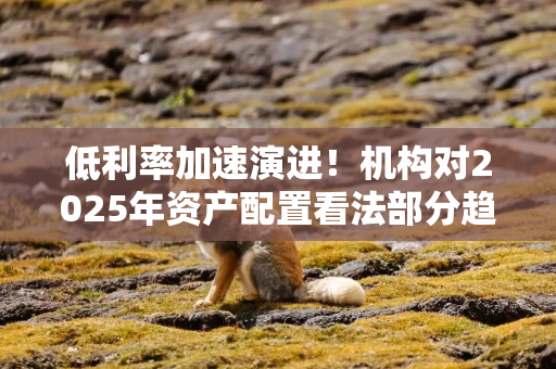 低利率加速演进！机构对2025年资产配置看法部分趋同
