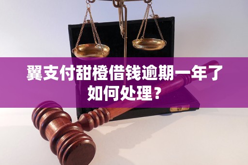 翼支付甜橙借钱逾期一年了如何处理？