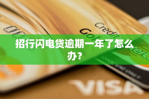 招行闪电贷逾期一年了怎么办？