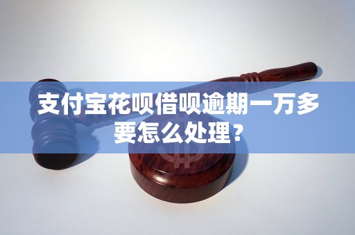 支付宝花呗借呗逾期一万多要怎么处理？