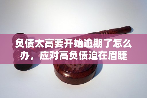 负债太高要开始逾期了怎么办，应对高负债迫在眉睫