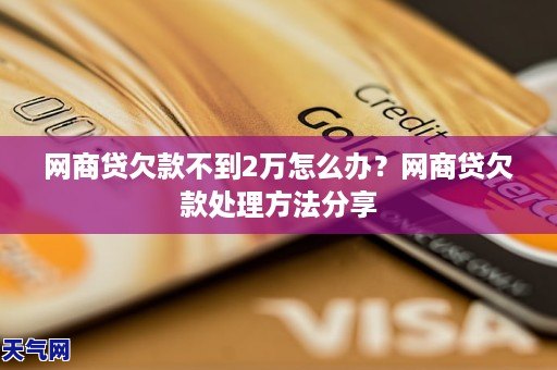 网商贷欠款不到2万怎么办？网商贷欠款处理     分享