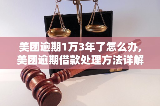 美团逾期1万3年了怎么办,美团逾期借款处理     详解