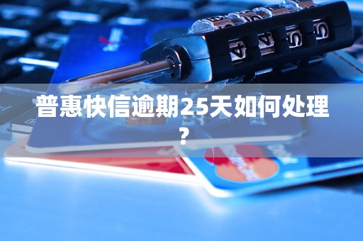 普惠快信逾期25天如何处理？