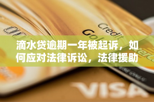 滴水贷逾期一年被起诉，如何应对法律诉讼，法律援助及应对措施