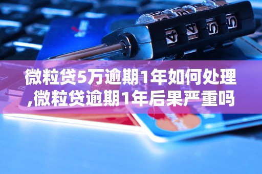 微粒贷5万逾期1年如何处理,微粒贷逾期1年后果严重吗