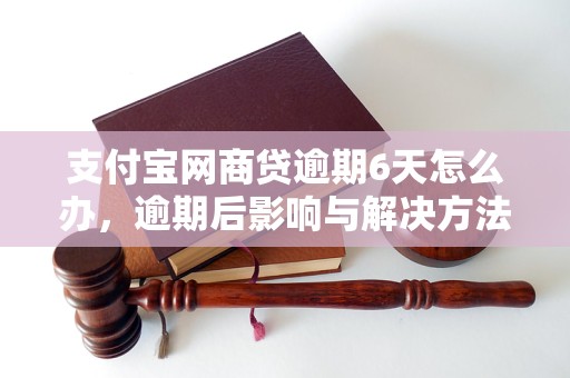 支付宝网商贷逾期6天怎么办，逾期后影响与解决