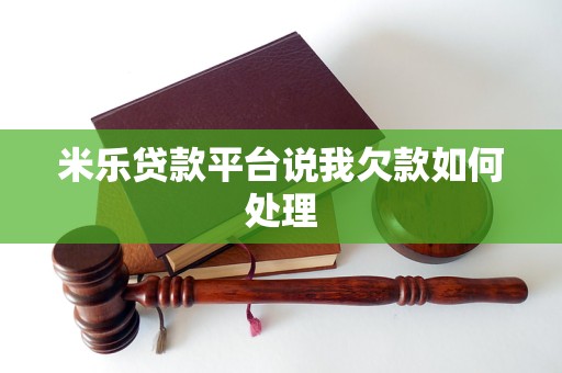 米乐贷款平台说我欠款如何处理