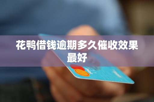 花鸭借钱逾期多久催收效果更好