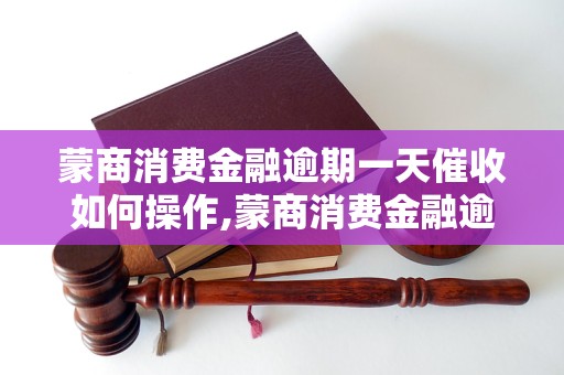 蒙商消费金融逾期一天催收如何操作,蒙商消费金融逾期催收流程